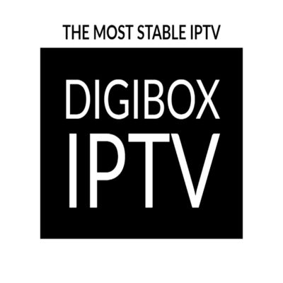 2024 Digibox Smart Android 12 TV Box Cuad Core 6K 4K reproductor de transmisión HD